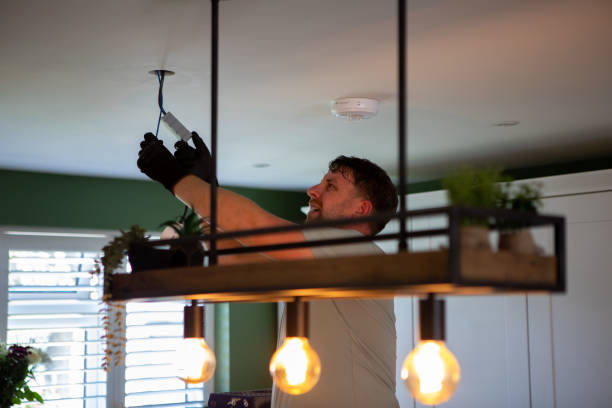 Best Licensed Electrician  in Fritch, TX