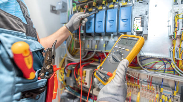 Best Electrical System Inspection  in Fritch, TX